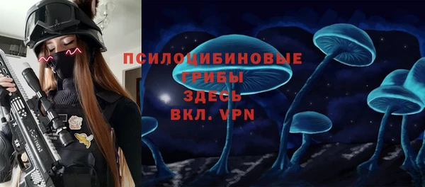 соль ск Верея
